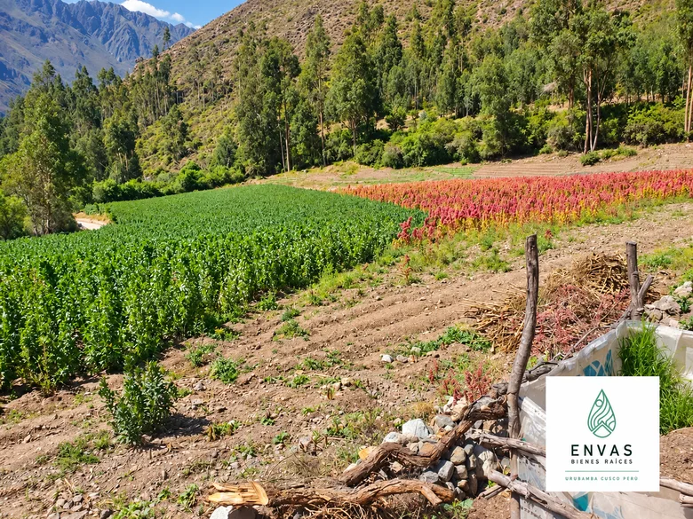 Vista de Terreno en Chilca · Ollantaytambo