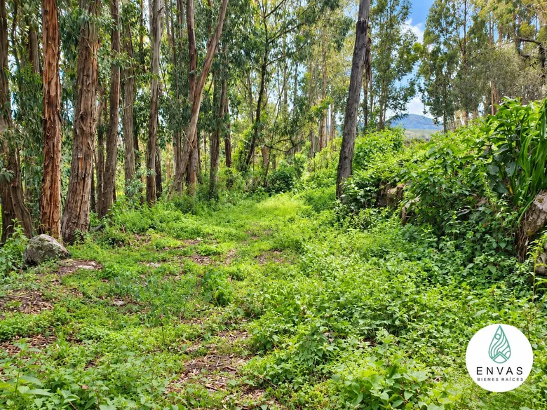 Vista de Terreno en Querocancha · Urubamba